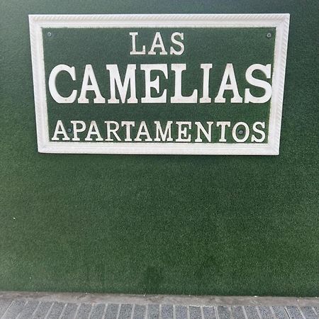Yumbo Appartamenti Las Camelias Playa Del Ingles Екстер'єр фото